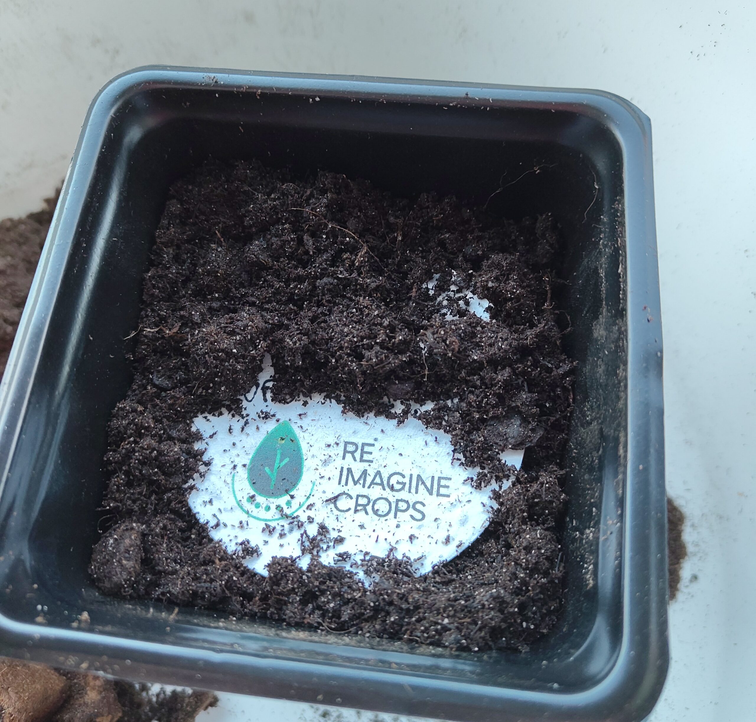 Planting a seed-embedded name tag